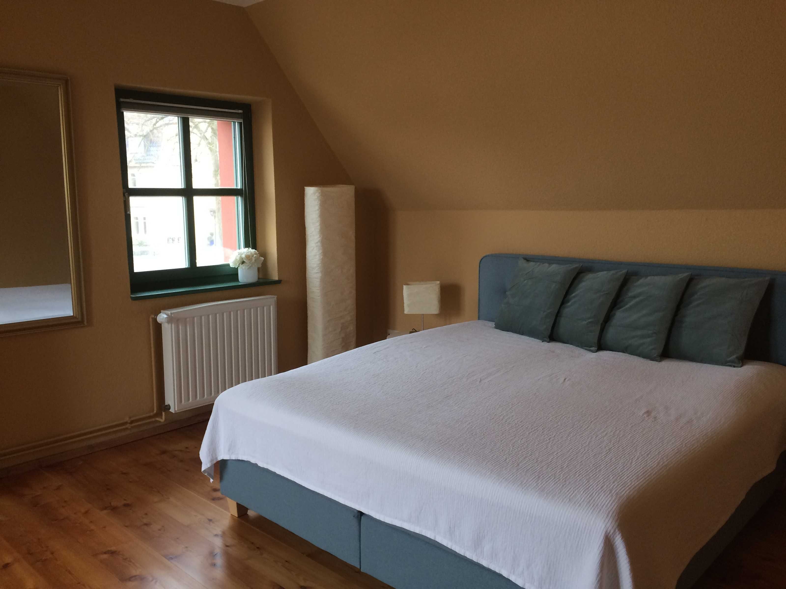 Une chambre à coucher avec un lit, une fenêtre donnant sur un paysage agréable, un radiateur et un miroir.