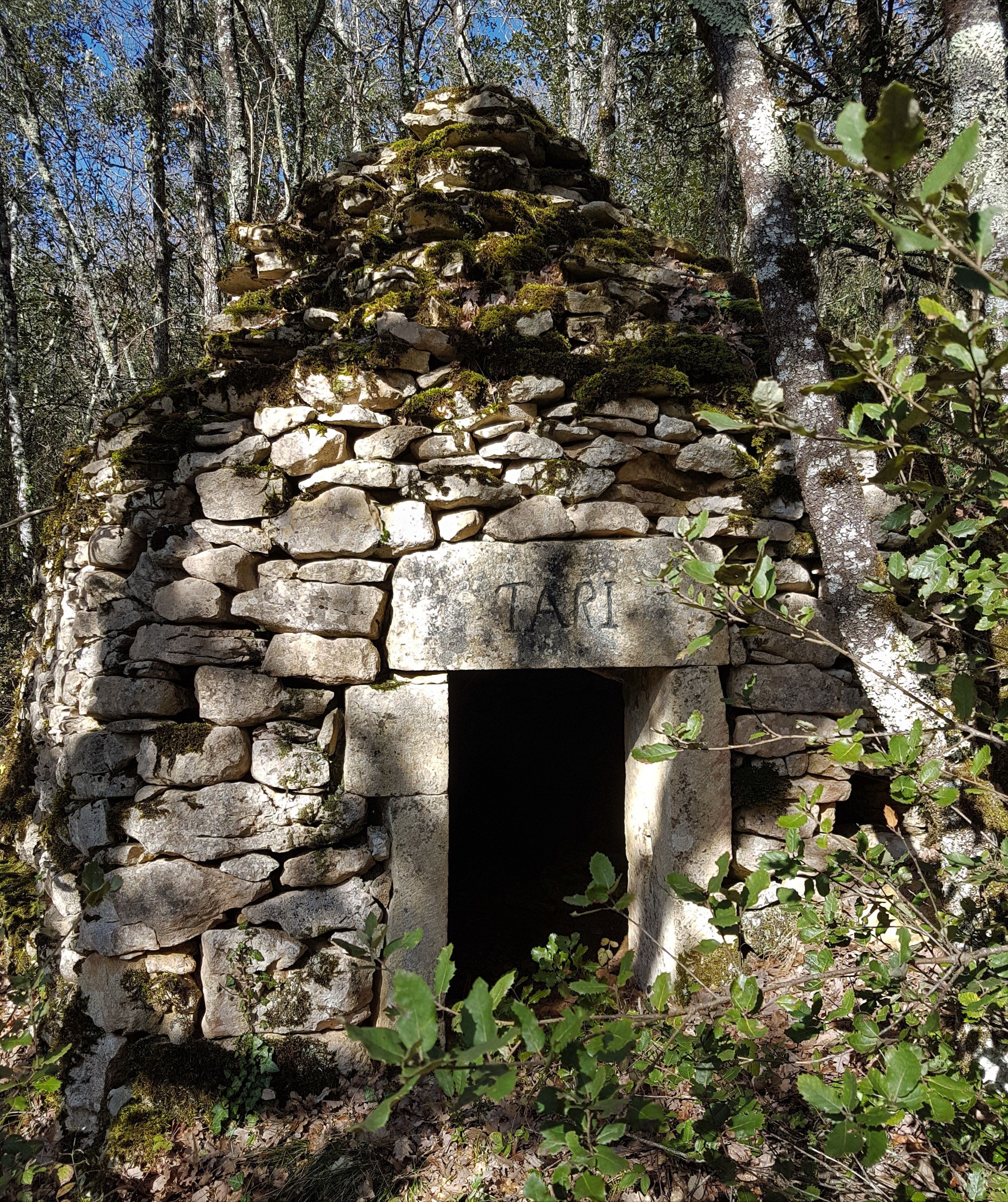 Una estructura de piedra con un cartel que dice "TARI" en un área boscosa.