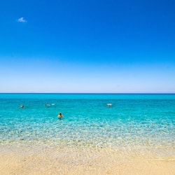 Plage privée, chaises longues, parasols