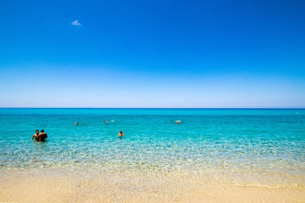 Plage privée, chaises longues, parasols