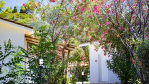 A courtyard with a white building, a pergola, and flowering trees. - BV Kalafiorita Resort (Zambrone)