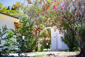 Jardim