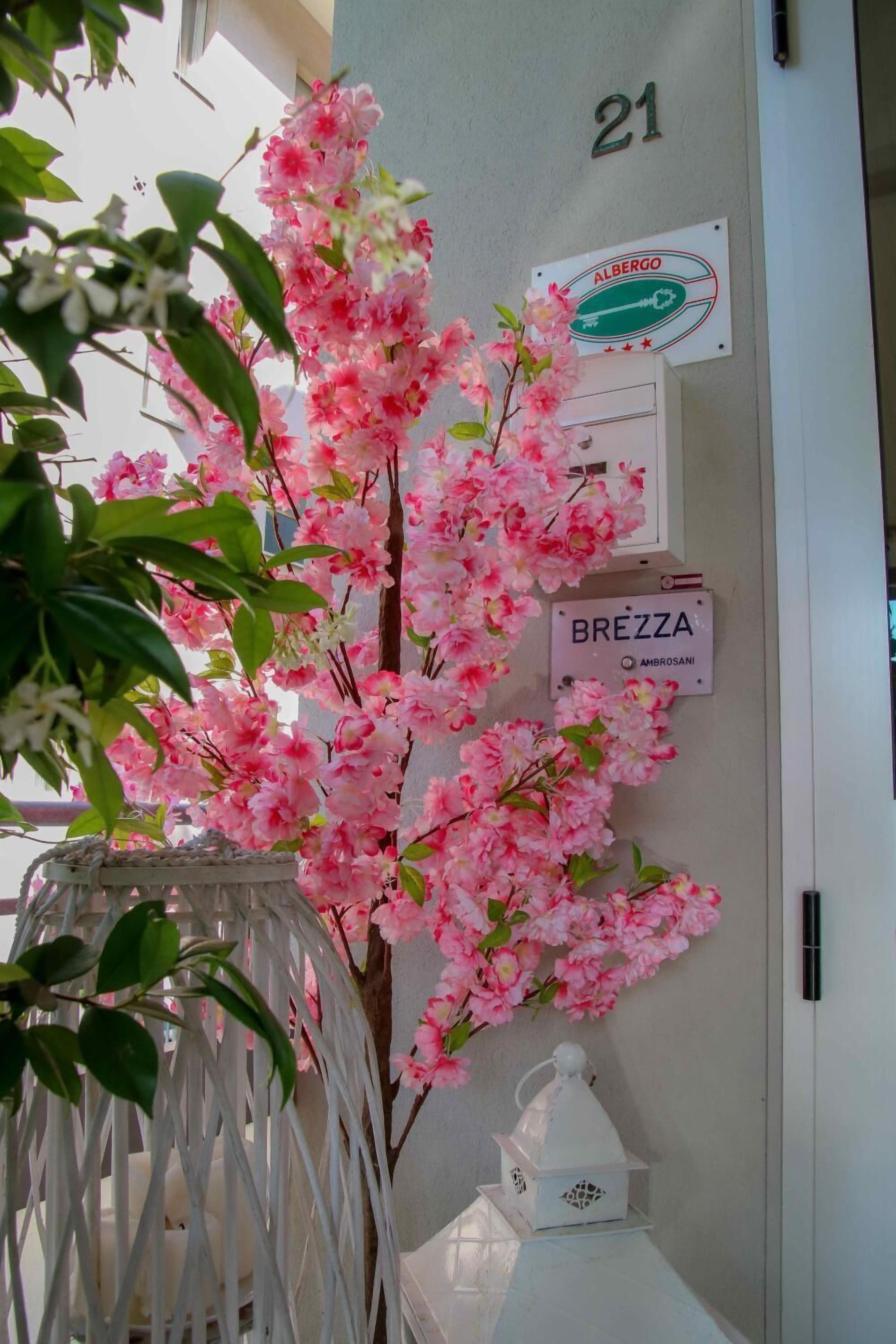 Foto - Hotel Brezza