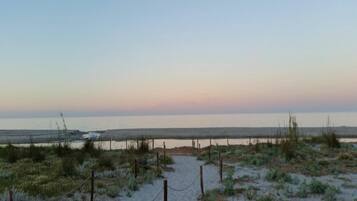 A beach with a fence and sparse vegetation.