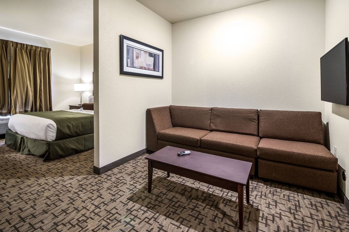 studio suite, 1 king bed with sofa bed, accessible, non smoking | premium bedding, down duvets, pillow-top beds, in-room safe