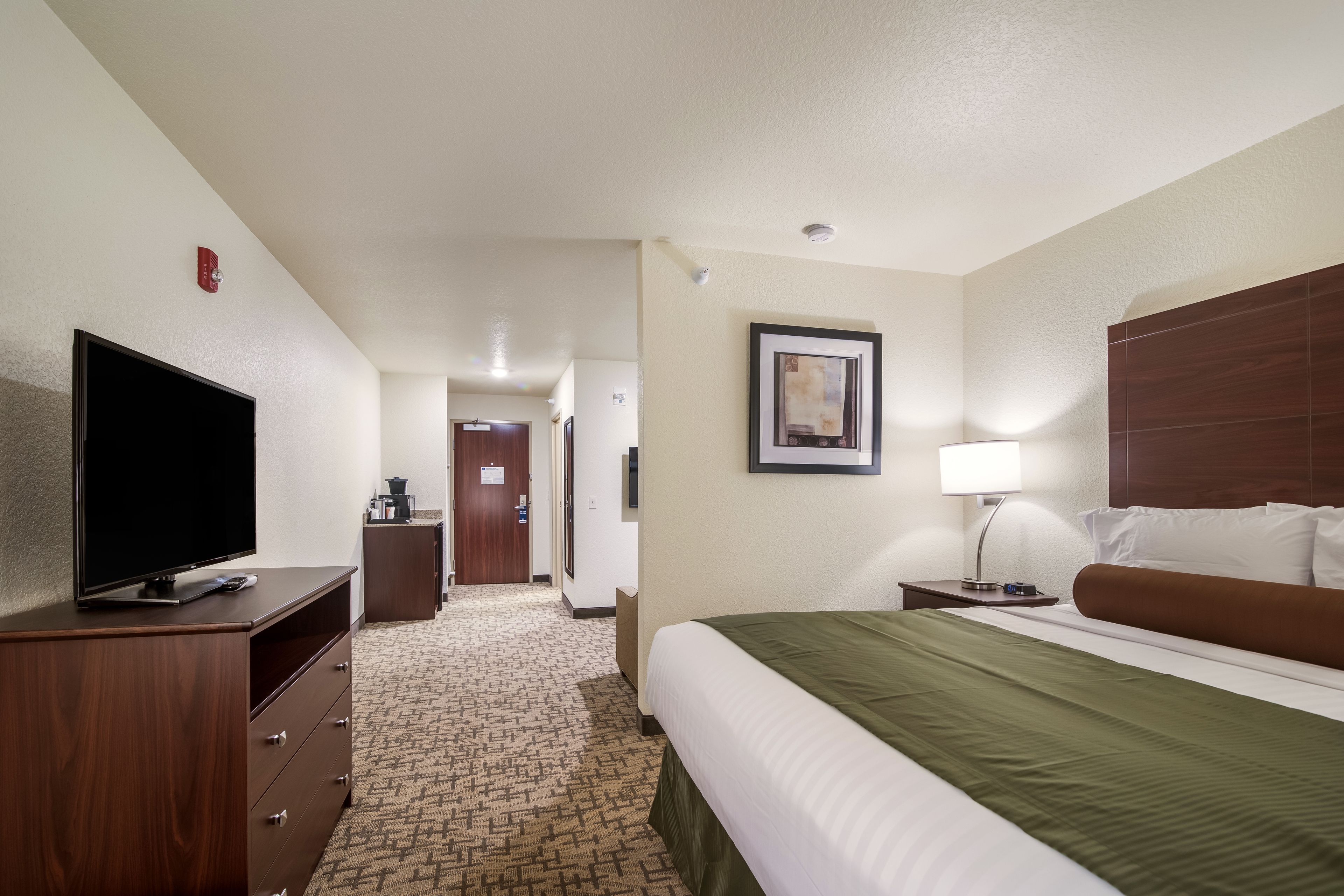 studio suite, 1 king bed with sofa bed, accessible, non smoking | premium bedding, down duvets, pillow-top beds, in-room safe