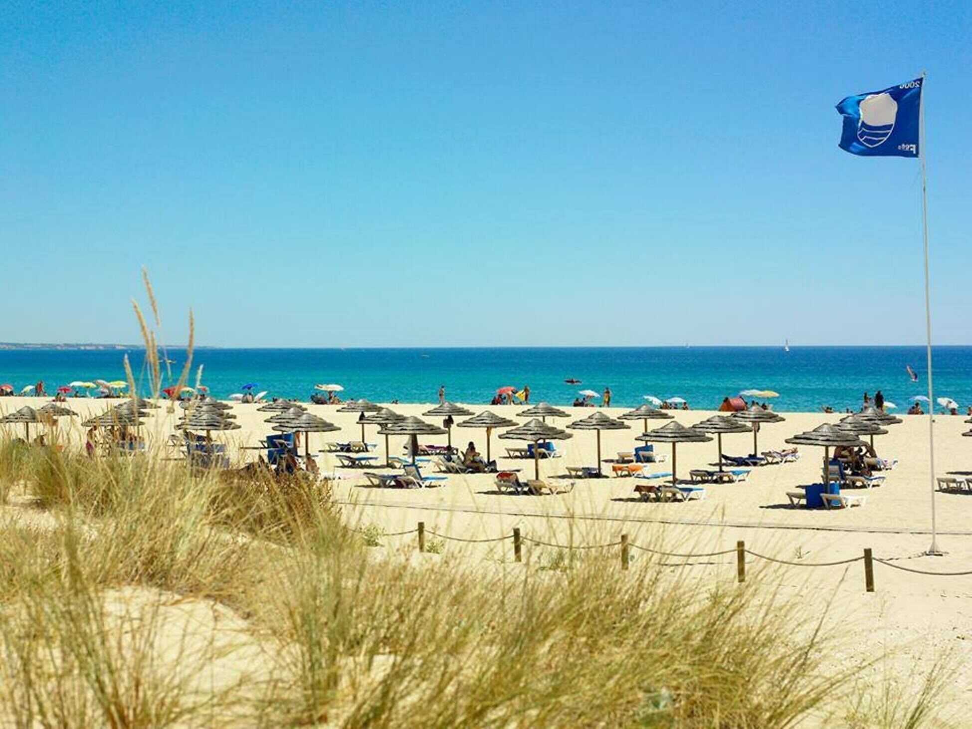A beach with rows of sun umbrellas and beach chairs, a flag, and the ocean in the background.