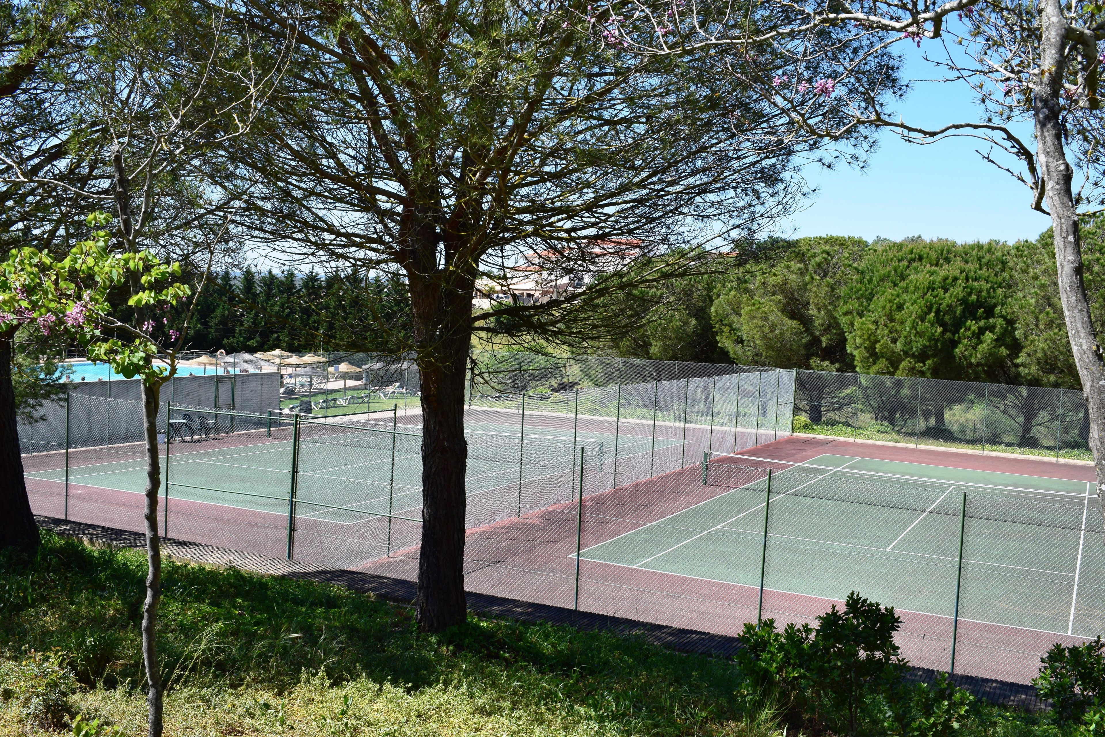 Una cancha de tenis al aire libre rodeada de árboles y una valla.