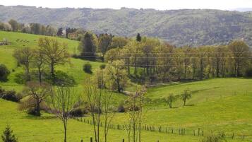 Paisaje rural con colinas onduladas, un campo cercado y árboles dispersos.