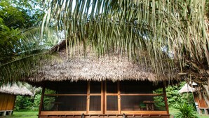 A thatched-roof hut with a wooden bench in front, surrounded by lush greenery.