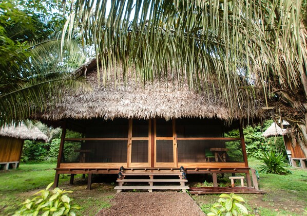 A thatched-roof hut with a wooden bench in front, surrounded by lush greenery.