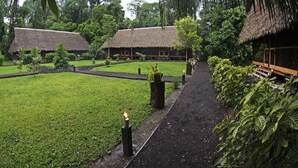 A thatched-roof building with a garden pathway leading to it.