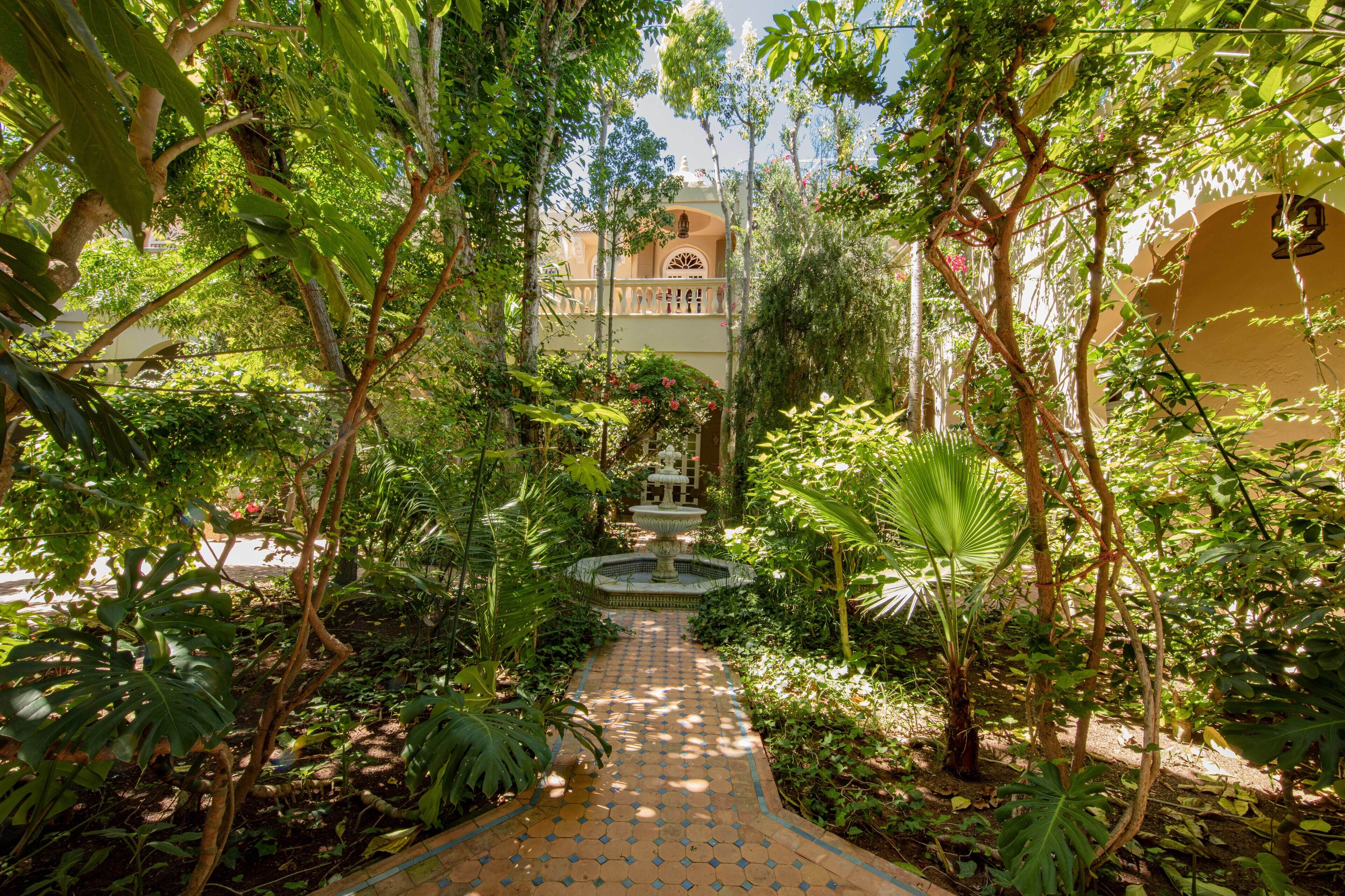 A garden pathway leading to a building with a fountain, surrounded by lush greenery and a tiled floor.