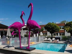 Outdoor pool, open 9:00 AM to 8:00 PM, sun loungers