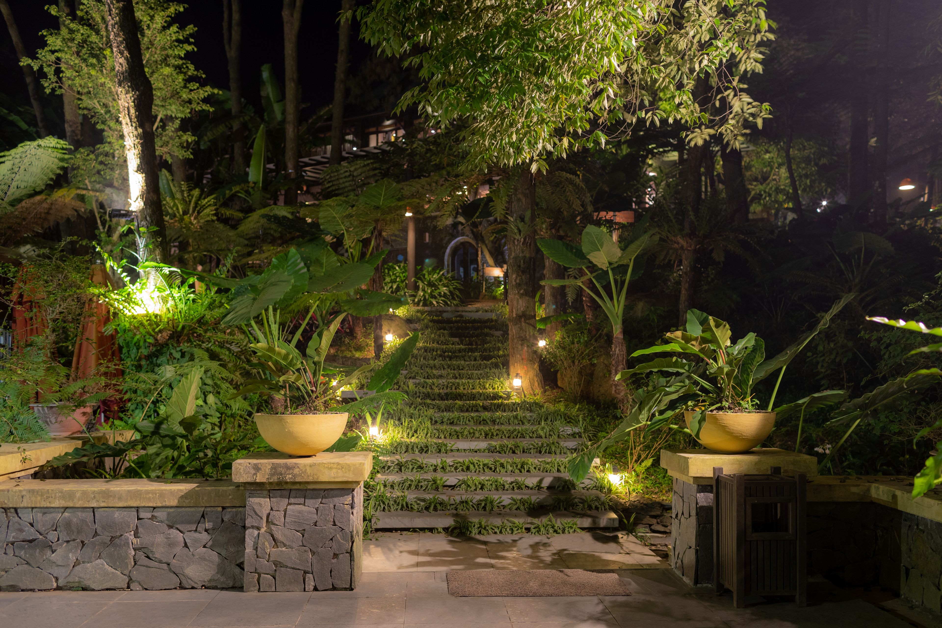 Giardino