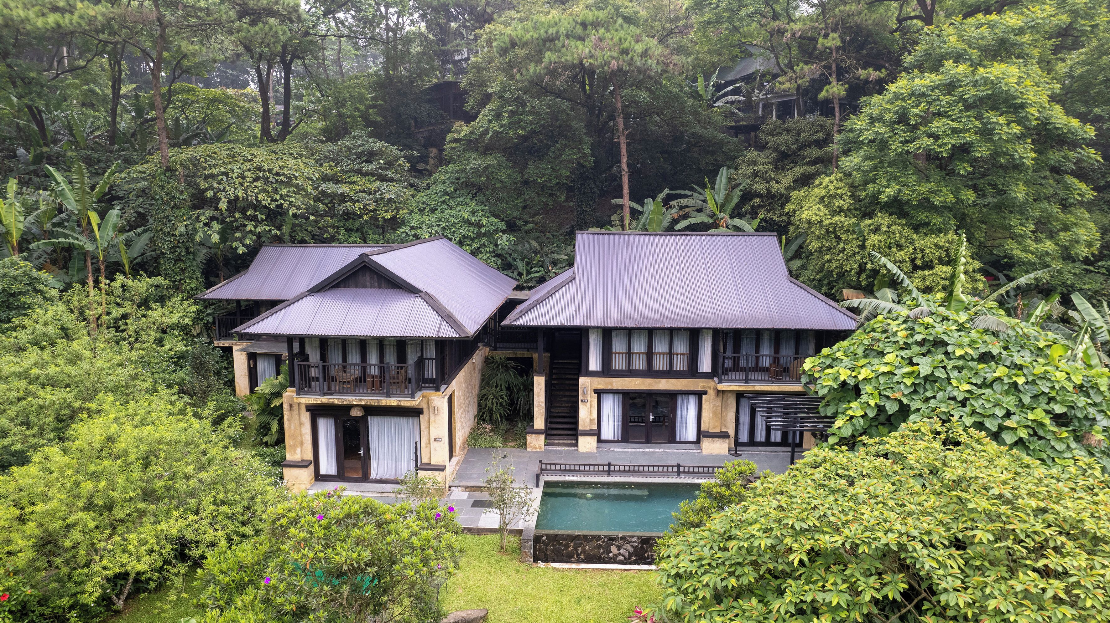 A bungalow with a pool surrounded by lush greenery.