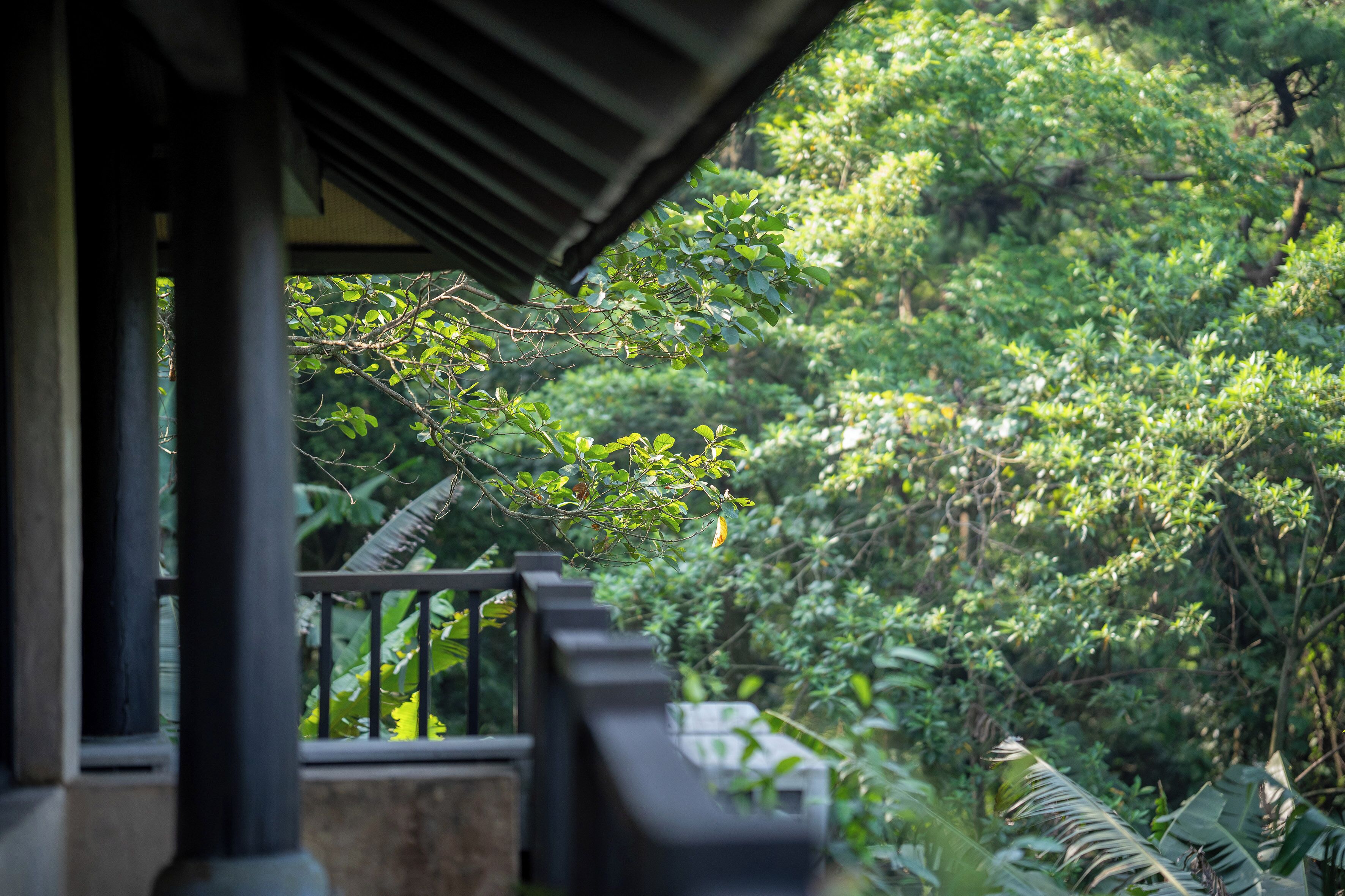 A view from a covered balcony overlooking lush greenery.