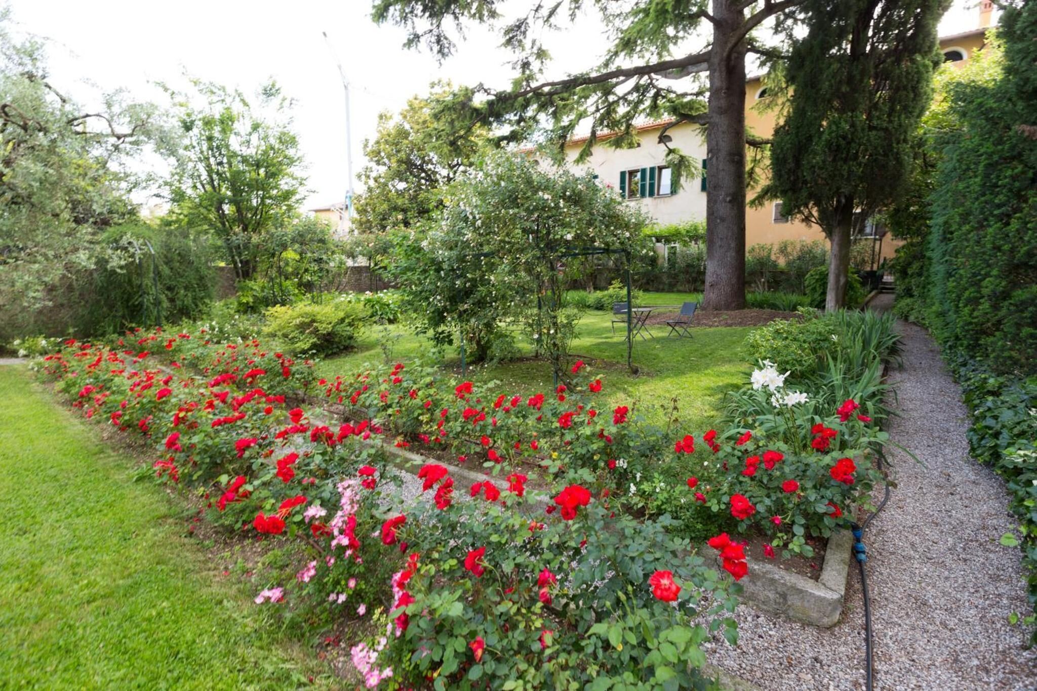 A garden with a gravel path, red and pink roses, and a building in the background.