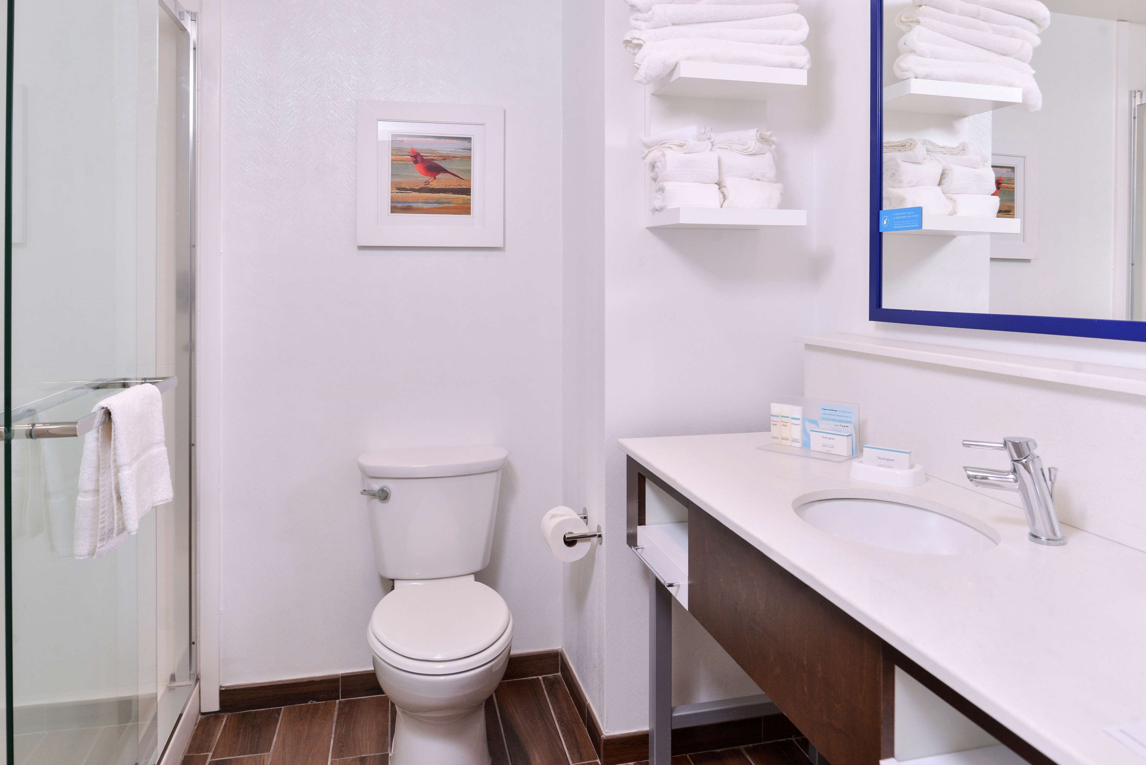 room, 1 king bed, accessible, bathtub (mobility & hearing) | bathroom shower