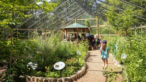 A greenhouse with a wooden structure, a gravel path, and various plants. - Candlewood Suites Eau Claire I-94 by IHG (Eau Claire)