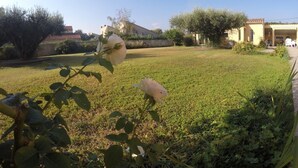 Zona exterior amb gespa, una rosa blanca al primer terme, un edifici amb teulada i cel blau clar.