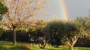 Un parc arbrat amb un arc de color al fons.
