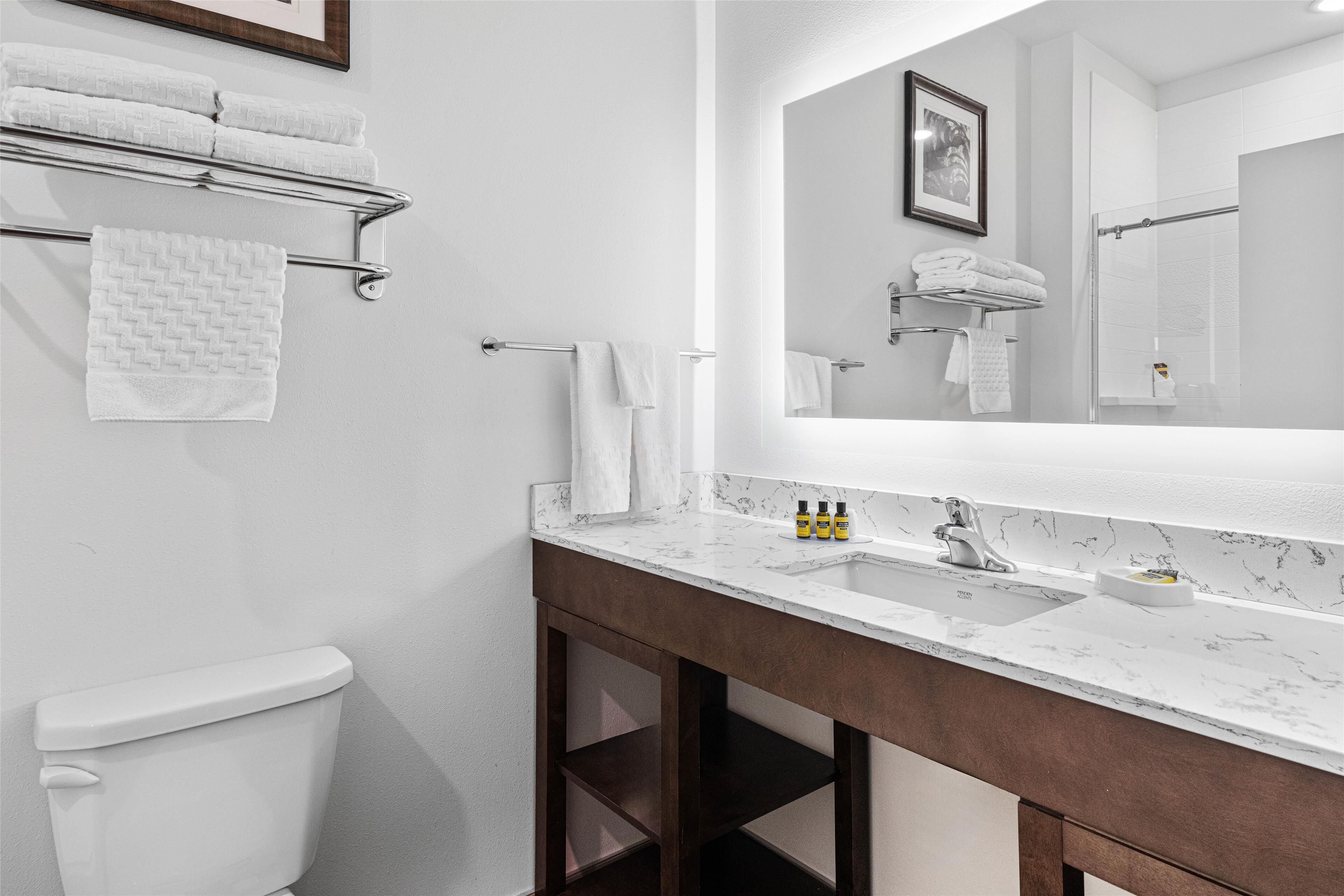 suite, 1 king bed with sofa bed, non smoking (with sofabed) | bathroom | rainfall showerhead, free toiletries, hair dryer, towels