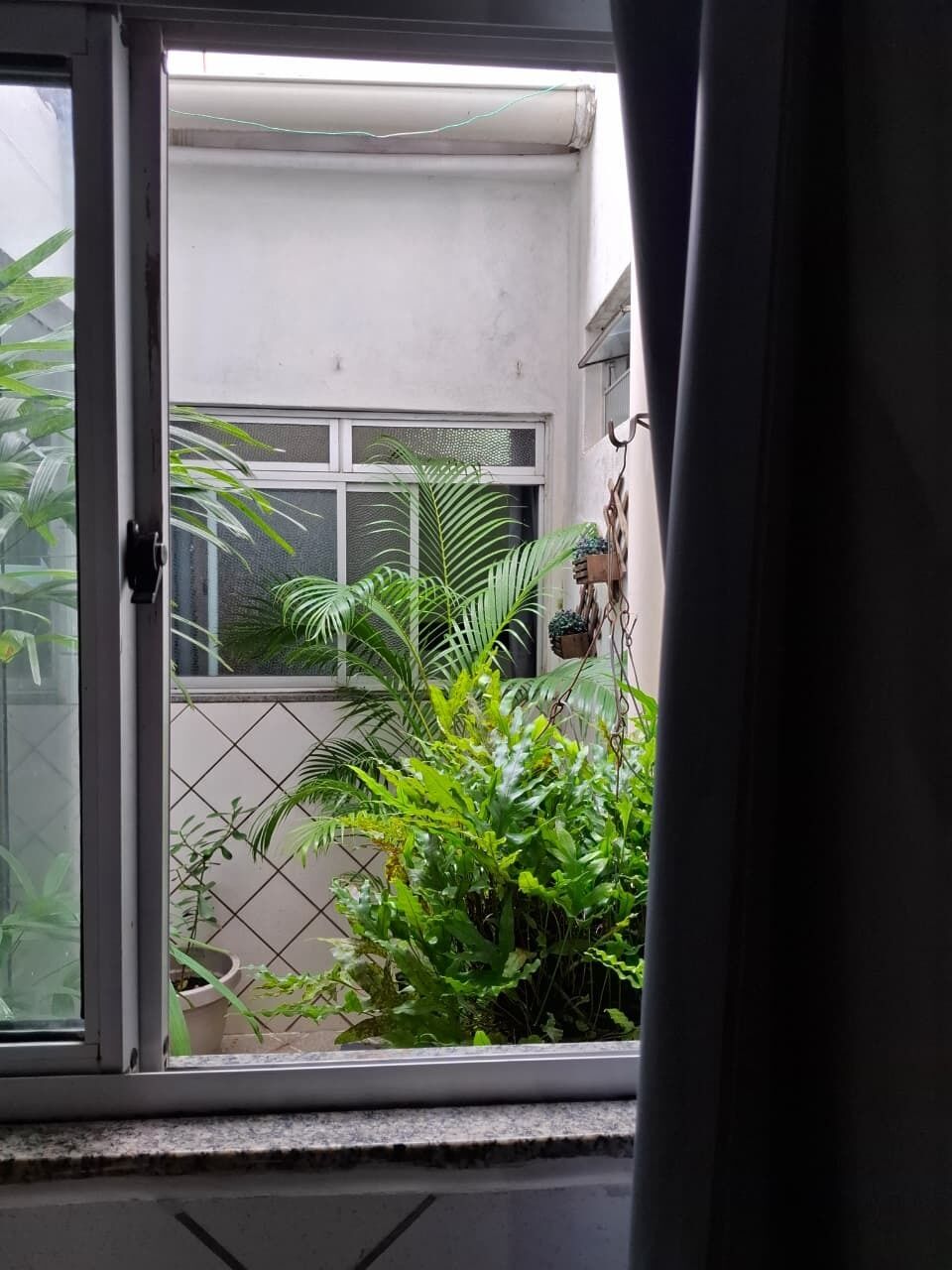 Una ventana con vista a un balcón, una puerta y algunas plantas en macetas.