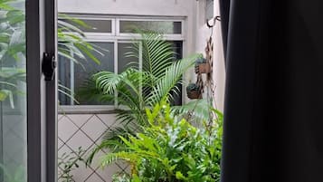 Una ventana con vista a un balcón, una puerta y algunas plantas en macetas.