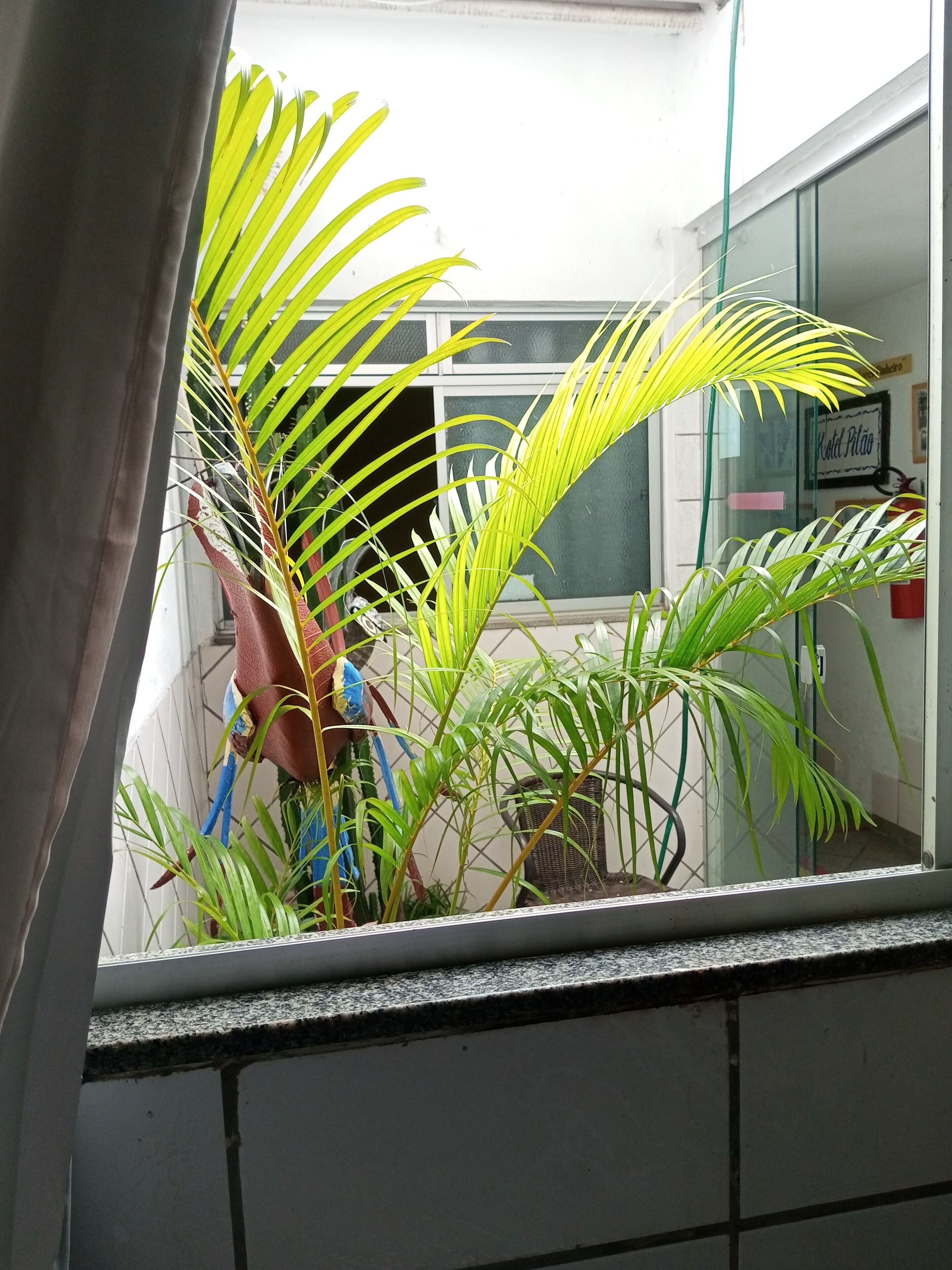 Standard Triple Room - 3 single beds | Garden view