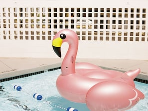 Piscina a l'aire lliure de temporada (horari: 08:00-22:00) i para-sols 