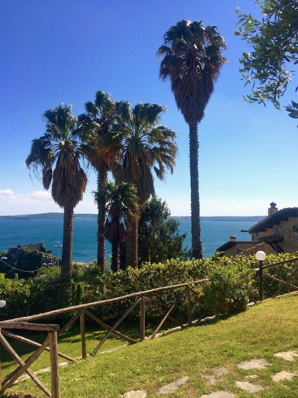A coastal landscape with palm trees, a clear sky, and a view of the sea.