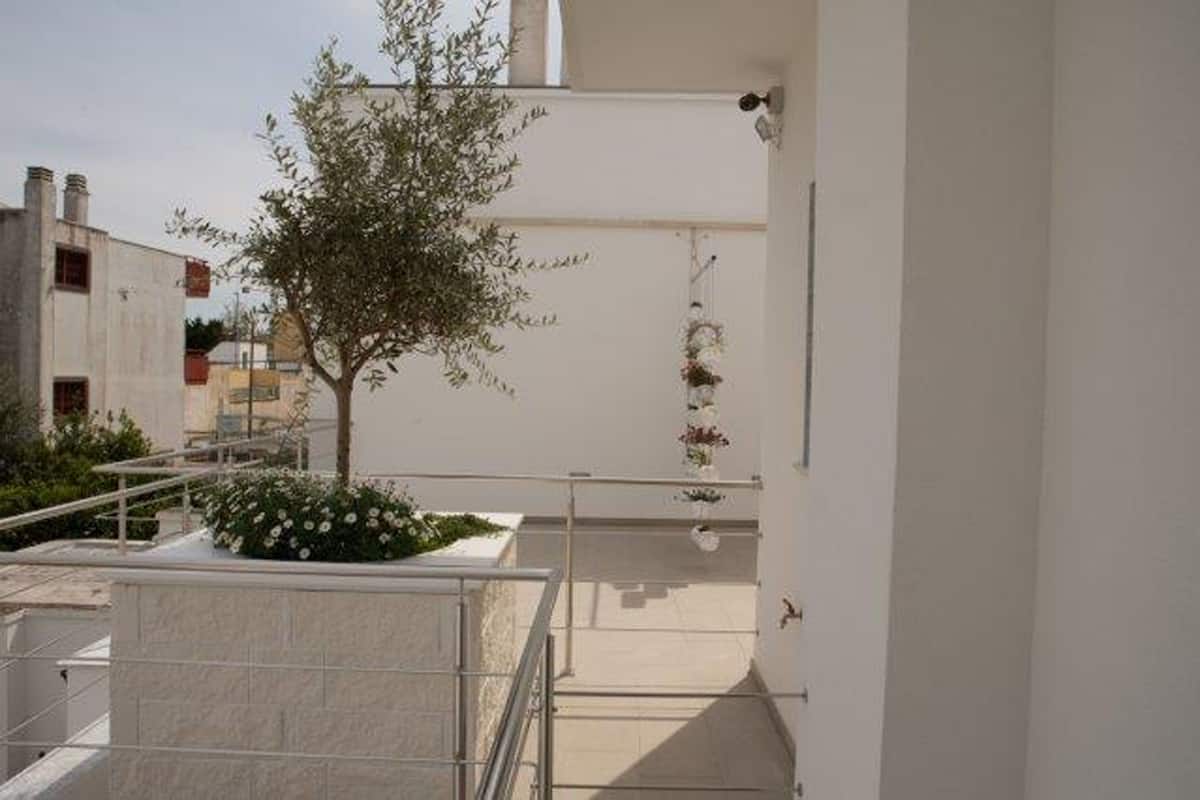 Un edificio moderno con fachada blanca, un pequeño árbol y una jardinera.