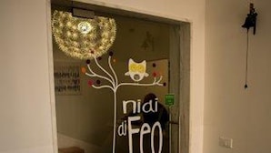 Una puerta con un letrero que dice "nidi di Feo" y un aplique decorativo encima.