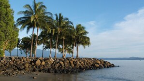 Eine felsige Küstenlinie mit Palmen und einem ruhigen Meer.