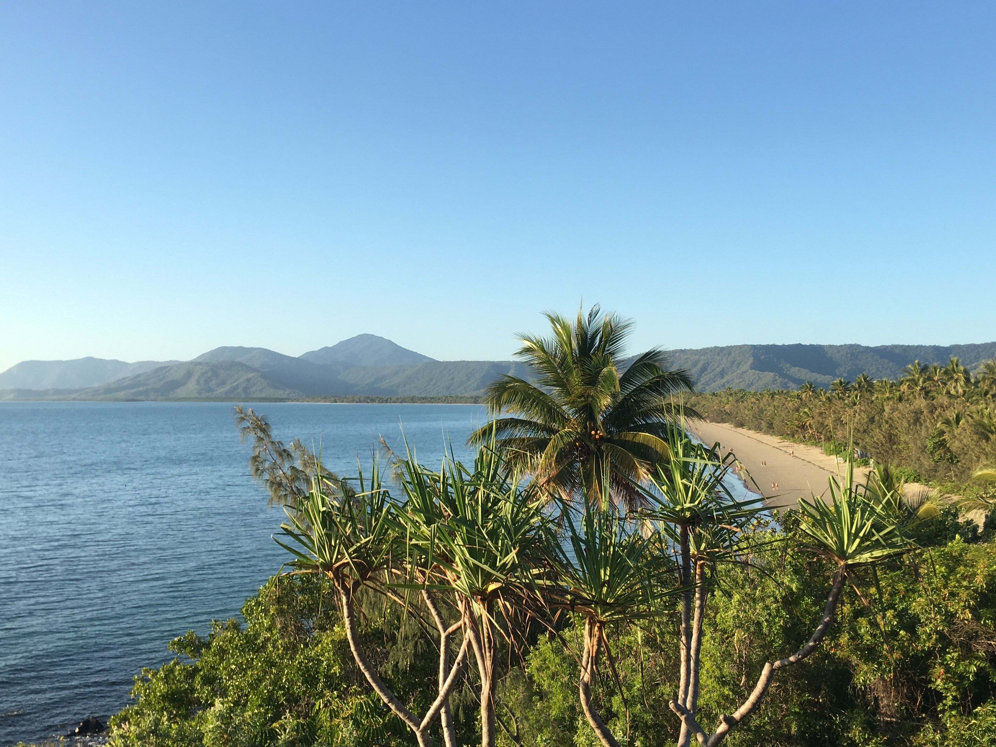 Uma praia com palmeiras e vista clara para montanhas ao fundo.