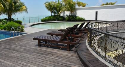 Silverscape Family Studio Suite