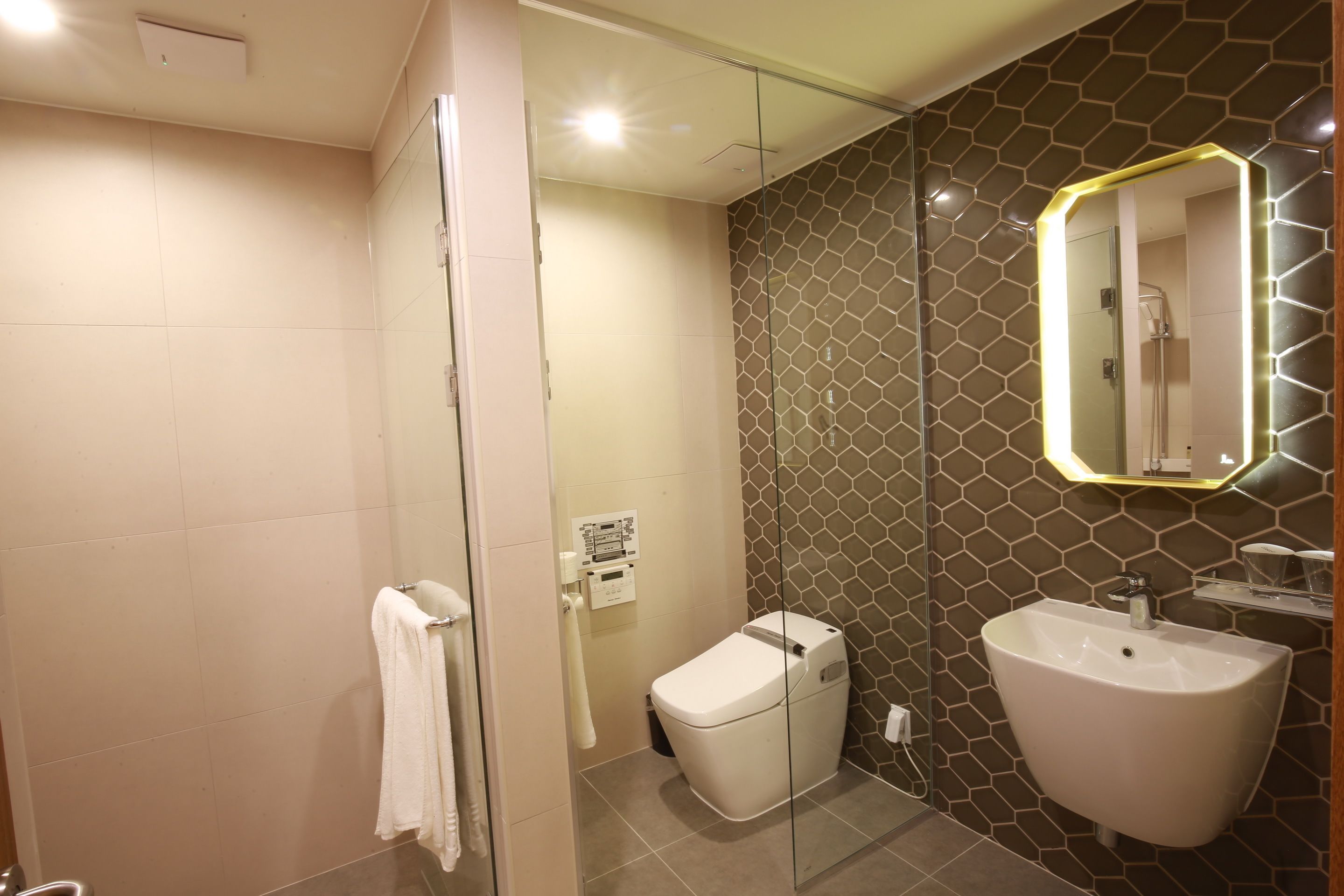 hair dryer, bathrobes, slippers, bidet