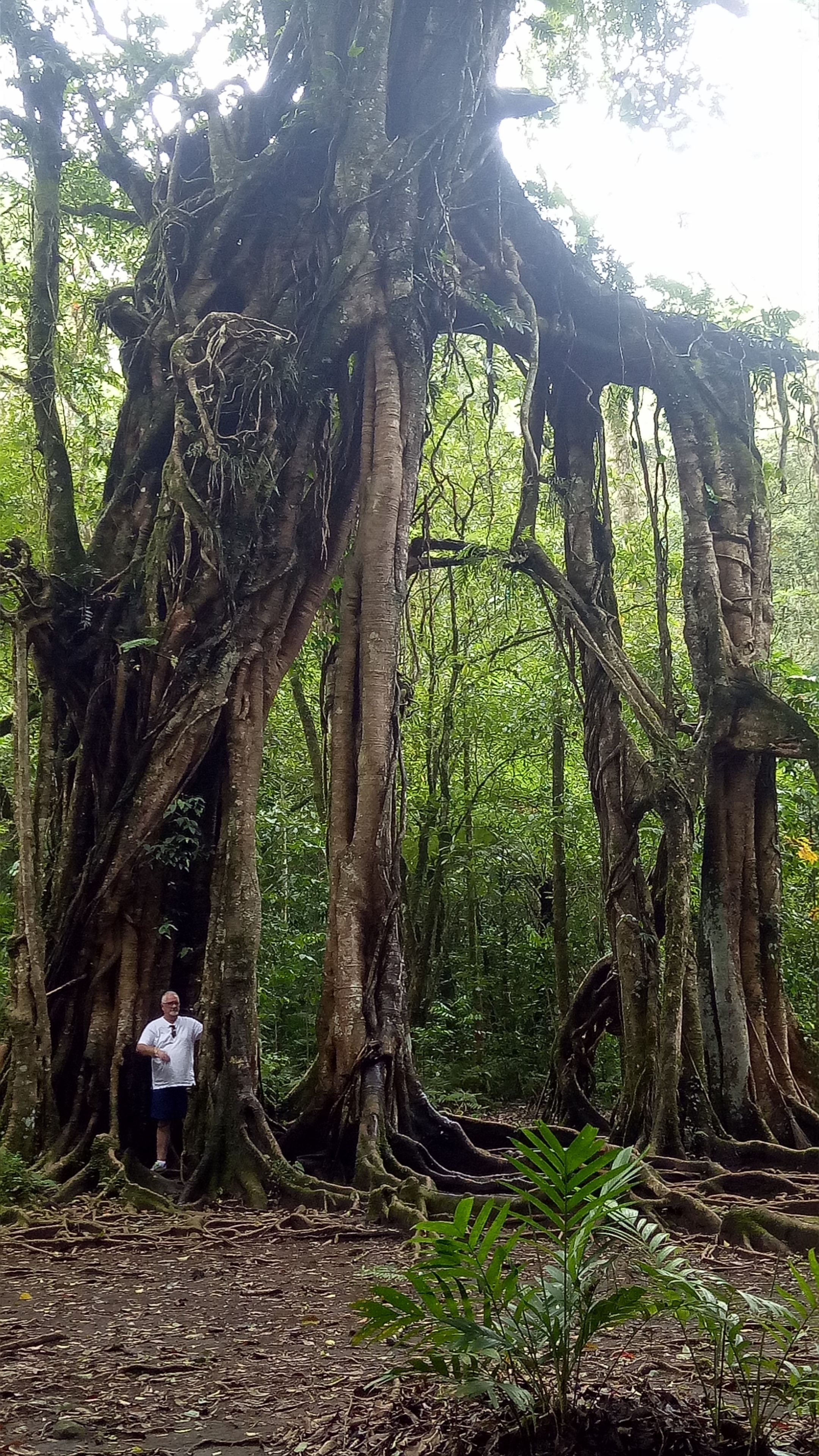 Foto - Swar Bali Lodge