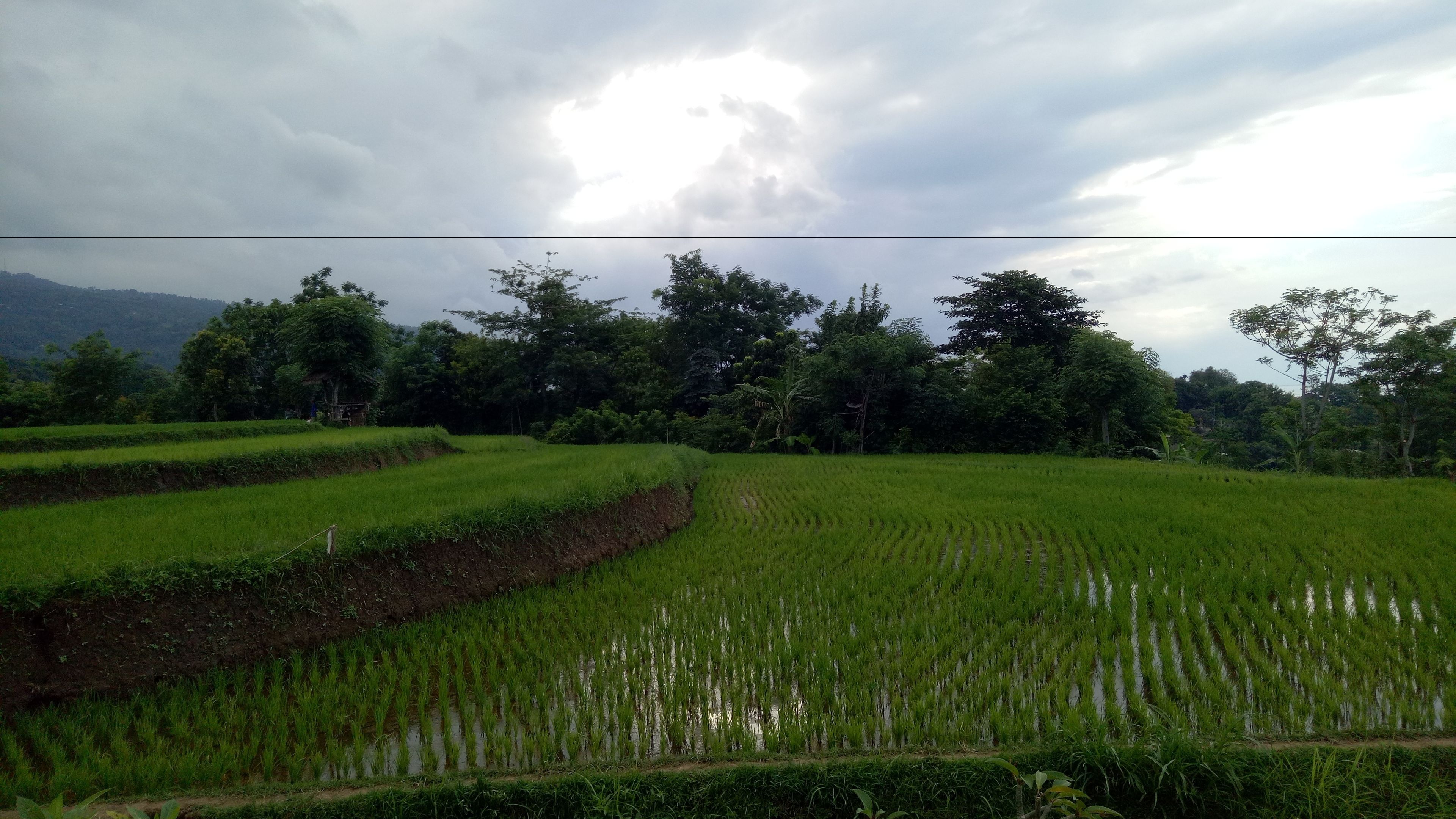 Foto - Swar Bali Lodge