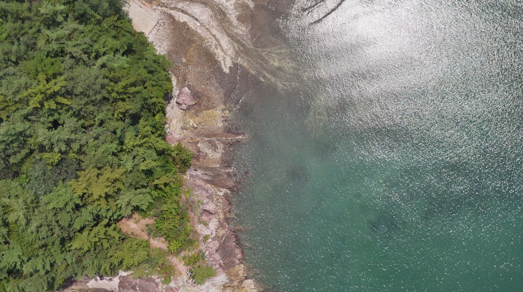 A coastal landscape with dense greenery and rocky terrain adjacent to a body of water.