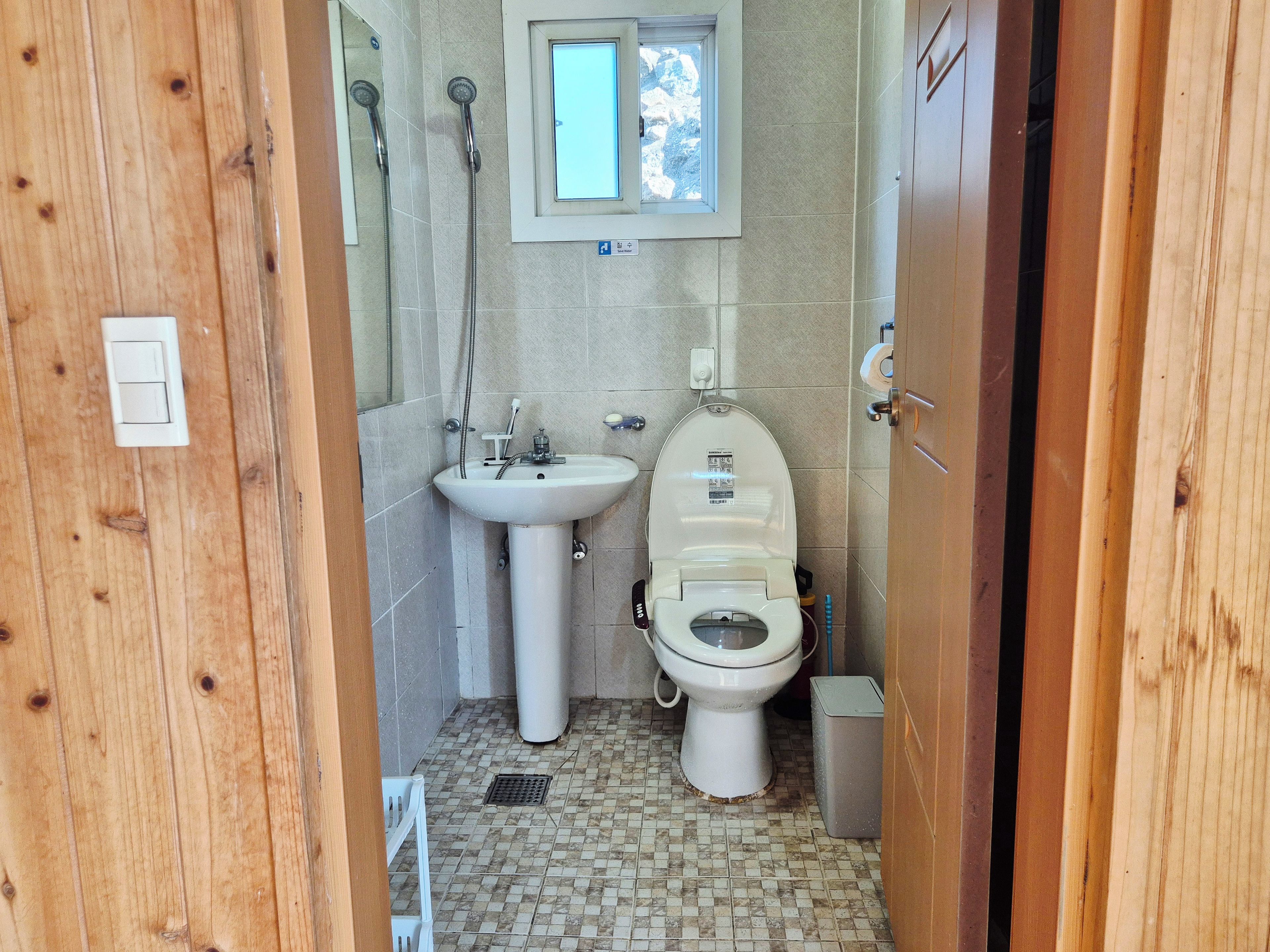 Een kleine badkamer met toilet, wastafel en douche.