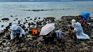 A group of people on a rocky shoreline with a body of water and mountains in the background. - Sea and Sunset Pension (Namhae)