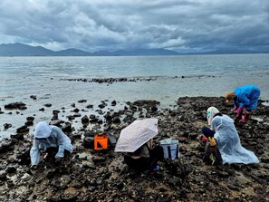 A group of people on a rocky shoreline with a body of water and mountains in the background. - Sea and Sunset Pension (Namhae)