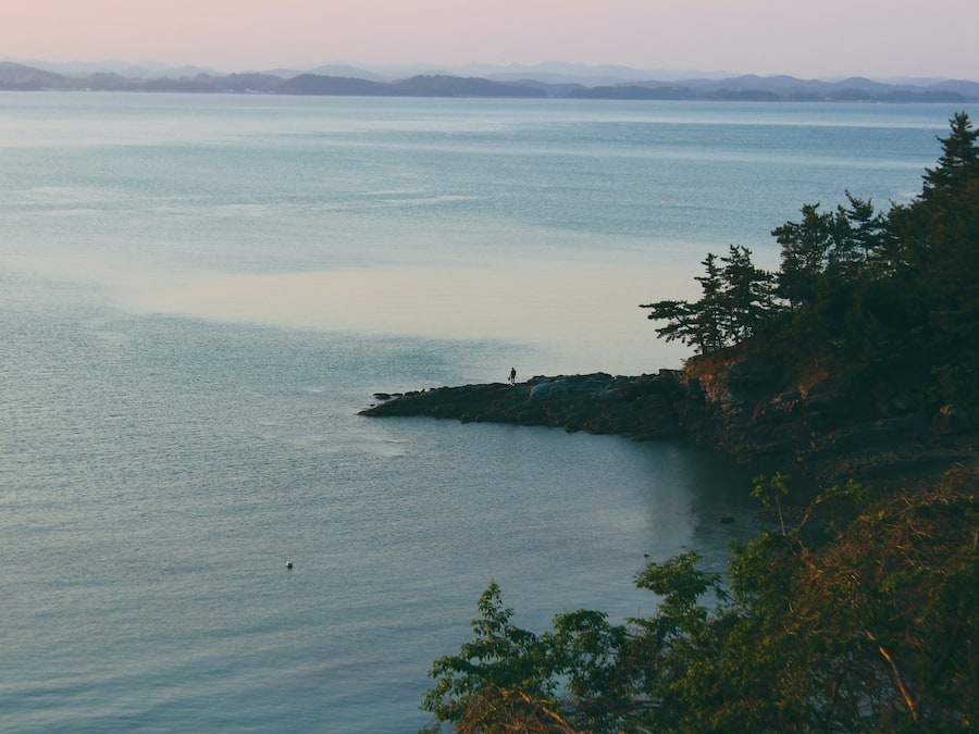 Utsikt fra overnattingsstedet