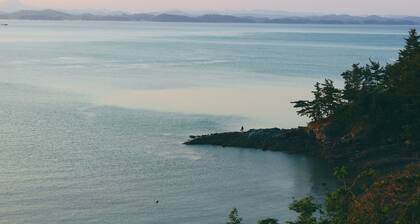 Sea and Sunset Pension
