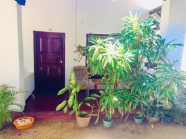 Un vano que da a un cuarto con puerta de madera, una planta en maceta y una silla.