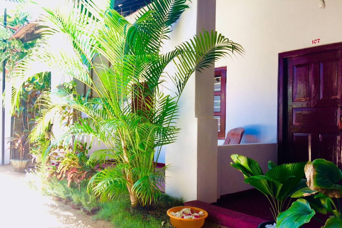 Un patio con plantas en macetas, una puerta de madera y un pequeño espacio para sentarse.