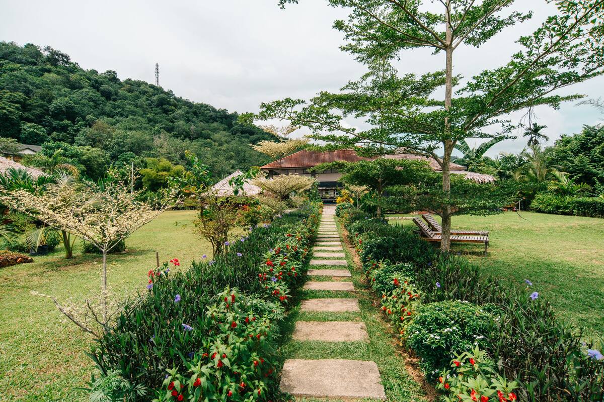Vue sur le jardin