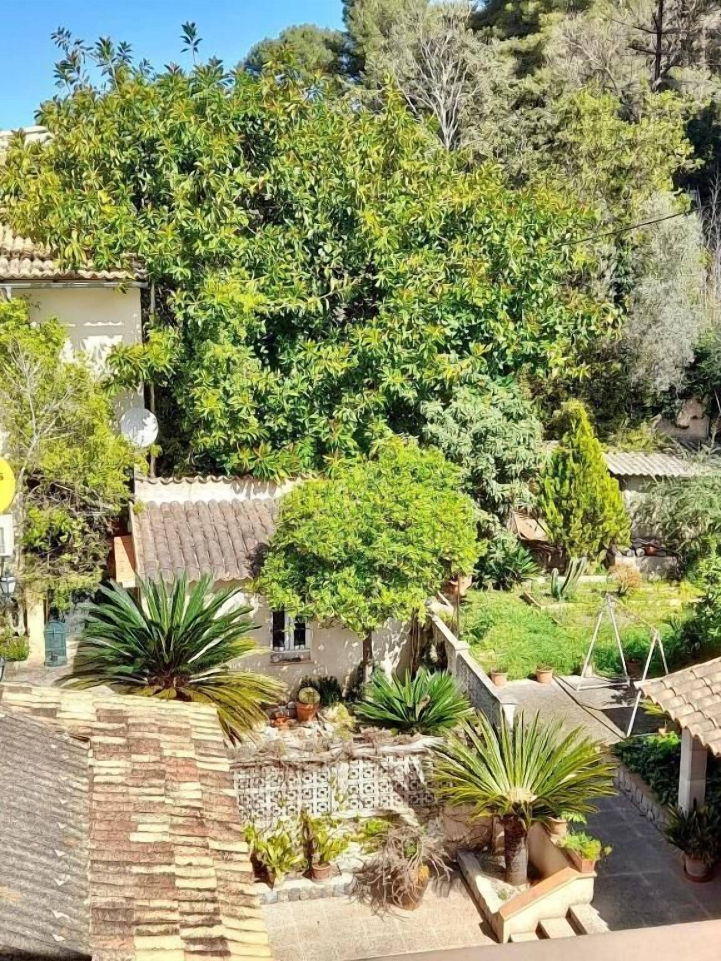 Foto - Sol Port Soller